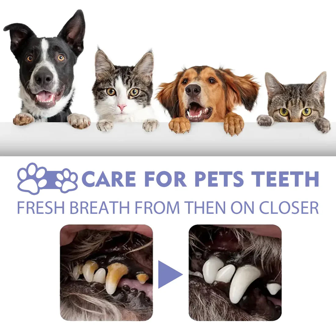 ANNRANIC™ 🍃No-Brushing Oral Care Spray for Dogs & Cats