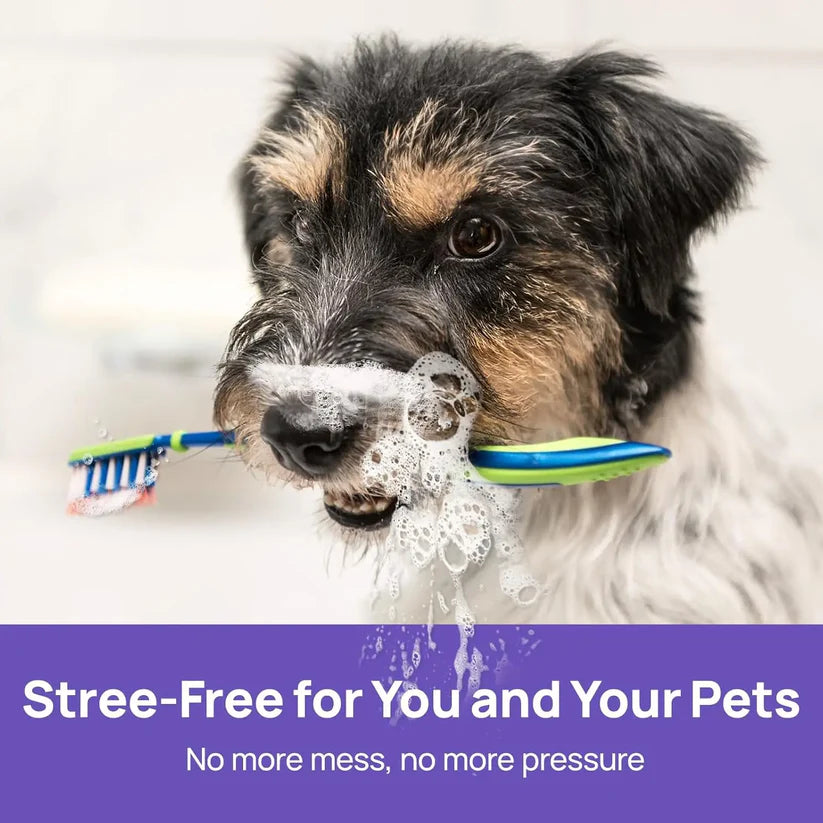ANNRANIC™ 🍃No-Brushing Oral Care Spray for Dogs & Cats