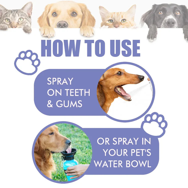 ANNRANIC™ 🍃No-Brushing Oral Care Spray for Dogs & Cats